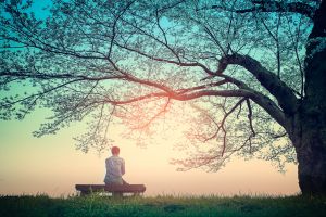 A meditáció és a jelen